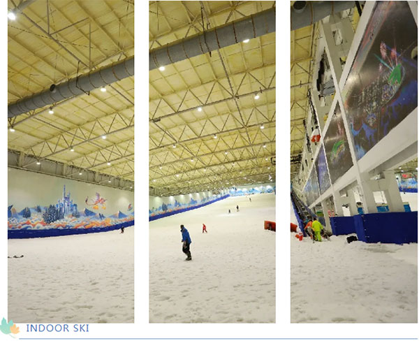 哈尔滨冰雪博览会走进知名企业活动行第1站——走进启迪冰雪科技集团(图4)